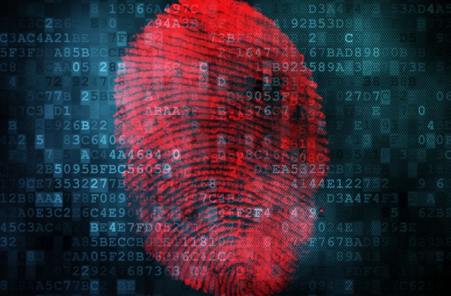 Perícia Computacional / Informática