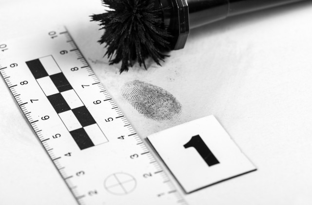 Perícia em Papiloscopia